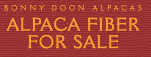 Alpaca Fiber for Sale